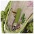 Salvatore Ferragamo Gancini Hand Bag Vinyl Green Silver - vista 16