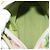 Salvatore Ferragamo Gancini Hand Bag Vinyl Green Silver - vista 19