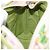 Salvatore Ferragamo Gancini Hand Bag Vinyl Green Silver - vista 20