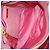 Miu Miu Hand Bag Leather 2way Pink Gold - vista 10