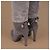 Bottes hautes Sergio Rossi en daim gris et cuir de python - vue 11