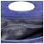 Borsa 2-Way Bally in blu navy e rosso - vista 7