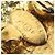 Orecchini a clip Chanel Gold - vista 7