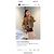 Miu Miu Jacke aus gesteppter Baumwolle Khaki - Ansicht 9