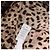 Dolce & Gabbana Blusa leopardata - vista 6
