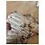 Roberto Cavalli Python-Print Jeans - Ansicht 3
