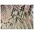 Roberto Cavalli Python-Print Jeans - Ansicht 7