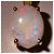 Autre Marque Collana in oro giallo 18K con opale - vista 2