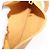 LOEWE Shoulder Bag Leather Beige Gold - vista 29