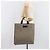 GUCCI GG Supreme Hand Bag PVC Beige Silver 456217 - vista 27