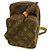Borsa a tracolla Louis Vuitton Monogram Mini Amazon
