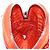 PRADA Shoulder Pouch Raffia 2way Orange Silver - vista 24