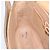 Céline CELINE Macadam Canvas Shoulder Bag PVC Leather Brown Gold - vista 18