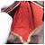 LOUIS VUITTON Damier Ebene Trousse Make Up Pouch N51982 LV - vista 23
