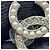 Orecchini a clip Chanel Silver CC placcati in argento con perle sintetiche e strass - vista 5