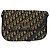 Christian Dior Trotter shoulder Canvas