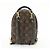 Louis Vuitton Palm Springs Monogram Canvas Mini - vista 2