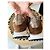 Philippe Model Sneaker aus braunem Wildleder - Ansicht 4