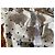 Ted Baker Star Bluse mit Rüschen und hohem Kragen - Ansicht 6