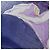 Christian Dior Set di 3 sciarpe 100% cotone stampa floreale blu navy nero - vista 5