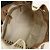 GUCCI SOHO Borsa a tracolla in tela e pelle con G intrecciate 308982 - vista 18