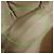 GUCCI Bamboo Flora Canvas Leather 2Way Bag Japan Limited Ivory 336032 - vista 22