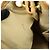 Borsa a spalla Louis Vuitton Monogram Galliera PM Brown M56382 - vista 21