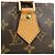Louis Vuitton Monogram Speedy 30 Boston Bag Hand Bag Brown M41526 - vista 8