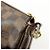 Louis Vuitton Damier Ebene Eva 2Way Hand Bag Chain Shoulder Bag N55213 - vista 19