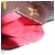 Louis Vuitton Monogram Partition Pouch Wristlet Bag Brown M51901 - vista 19