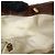 Borsa GUCCI Sukey Diamante Interlocking G GG Canvas Leather 211944 - vista 21