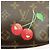 Louis Vuitton Monogram Cherry Pochette Accessoires Pouch M95008 - vista 19