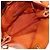 Borsa a spalla in pelle con logo PRADA Borsa Tote Borsa a mano Arancione BR4829 - vista 17