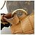 Zaino Louis Vuitton Monogram Montsouris MM Brown M51136 - vista 9