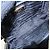Borsa a tracolla PRADA in pelle Saffiano motivo nastro nero 1NF674 - vista 22