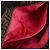 FENDI Borsa Tote e Borsa a Spalla Zucca PVC Leather Marrone Nero Rosa 8BH185 - vista 19