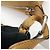 Céline Borsa a spalla e borsa a mano in pelle con logo CELINE Camel - vista 11