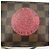 Louis Vuitton Damier T&B Mini Pochette Accessoires Pouch Brown N58011 - vista 19