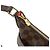Borsa a spalla Louis Vuitton Damier Bloomsbury PM Brown N42251 - vista 9