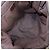 Borsa a Spalla e Tracolla GUCCI Sherry GG Canvas Leather Beige 189751 - vista 21