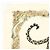 Hermès HERMES Carre 90 Seidentuch 100% Seide JUNGLE LOVE Hellbraun Beige - Ansicht 3