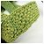 LOEWE Font Tote Raffia Leather 2Way Bag Borsa Tote Borsa a Tracolla Verde - vista 8