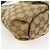 Borsa a spalla e a tracolla GUCCI in tela e pelle Beige Brown 388930 - vista 12