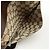 Borsa a Tracolla GUCCI GG Canvas Leather Beige Brown 27639 - vista 20