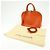Borsa a mano Louis Vuitton Epi Alma PM Pimont Orange M40623 - vista 24