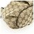Borsa a tracolla GUCCI GG Canvas Leather Beige Dark Brown 388930 - vista 12
