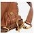 Miu Miu Borsa hobo in pelle marrone - vista 5
