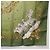 Hermès HERMES Carre 90 Scarf  COSMOS  Silk Green - vista 10