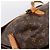 LOUIS VUITTON Monogram Saumur 43 Shoulder Bag M42252 LV - vista 17