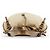 Céline Borsa a Tracolla Bittersweet Macadam Croc Beige - vista 4